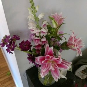 Meet your Posher, Kristin